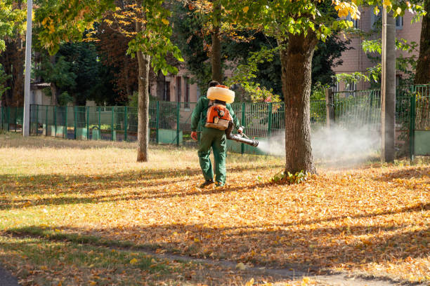 Reliable Buena Vista, CO Pest Control Solutions