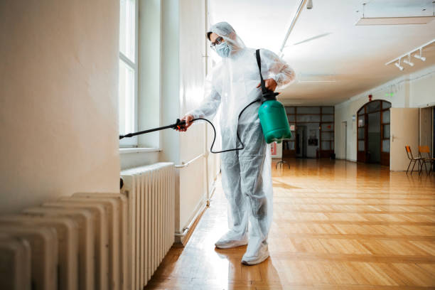 Best Flea Control Services  in Buena Vista, CO