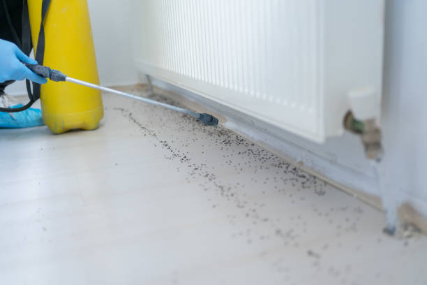 Pest Control for Restaurants in Buena Vista, CO